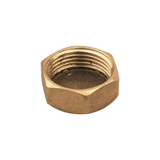 TAPON LATON ROSCA HEMBRA DE I 1/2 ( I.V.A. INCLUIDO )